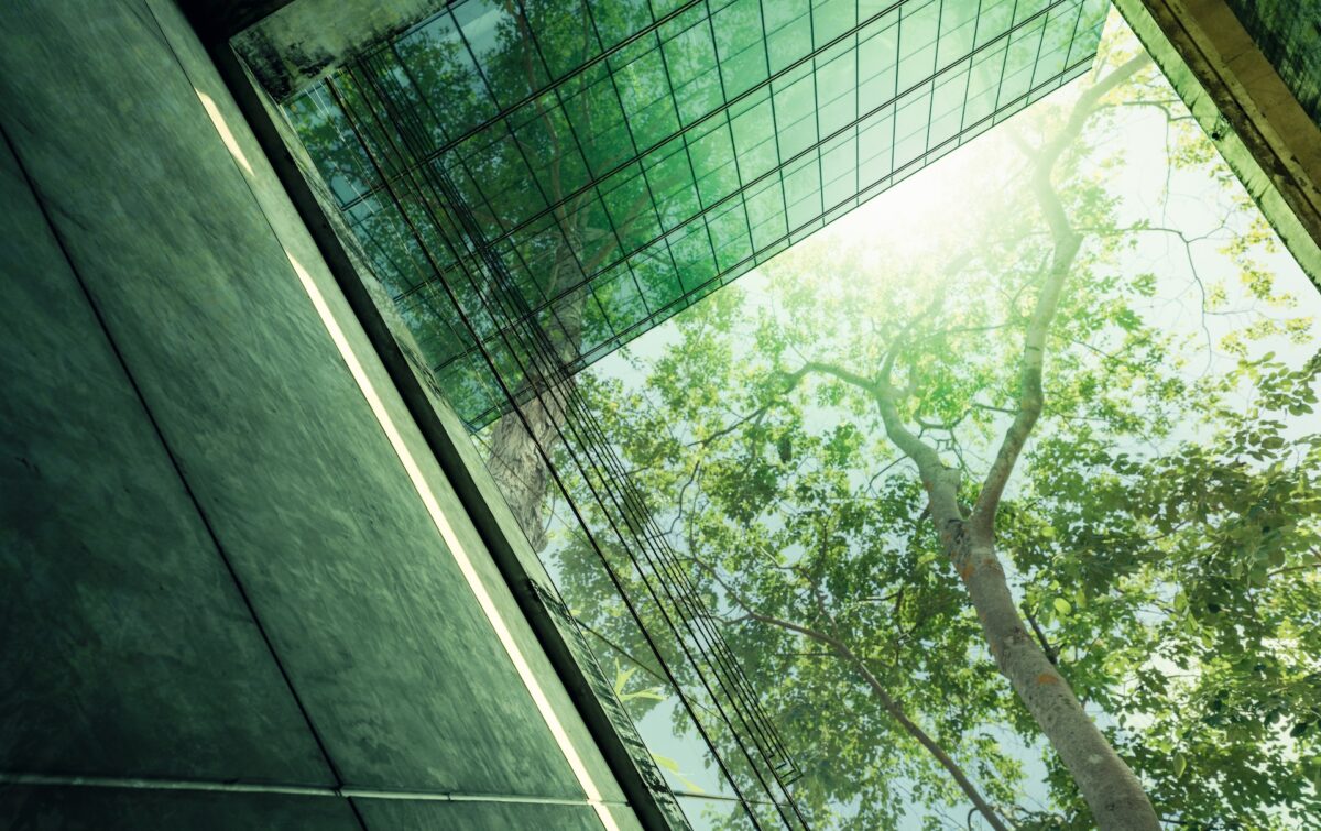 Sustainble green building. Eco-friendly building in modern city. Sustainable glass office building with tree for reducing carbon dioxide. Office with green environment. Corporate building reduce CO2.