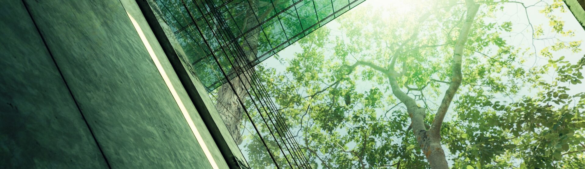 Image - Environmental Services